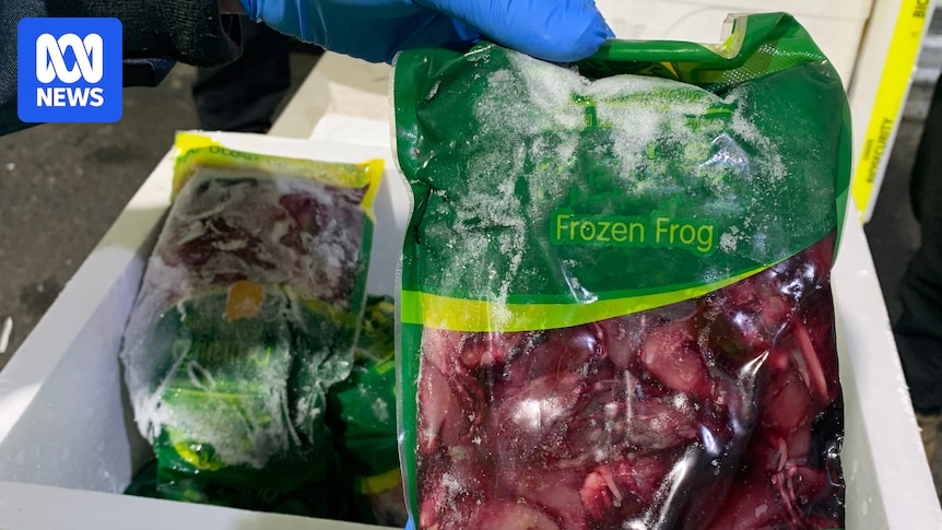 Calls for tougher biosecurity controls after 62,000kg illegal import sentence