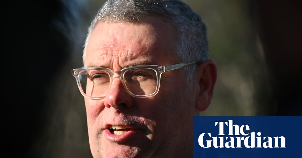 Labor’s new environment laws won’t be ‘credible’ unless new projects consider climate change, advocates warn | Australian politics