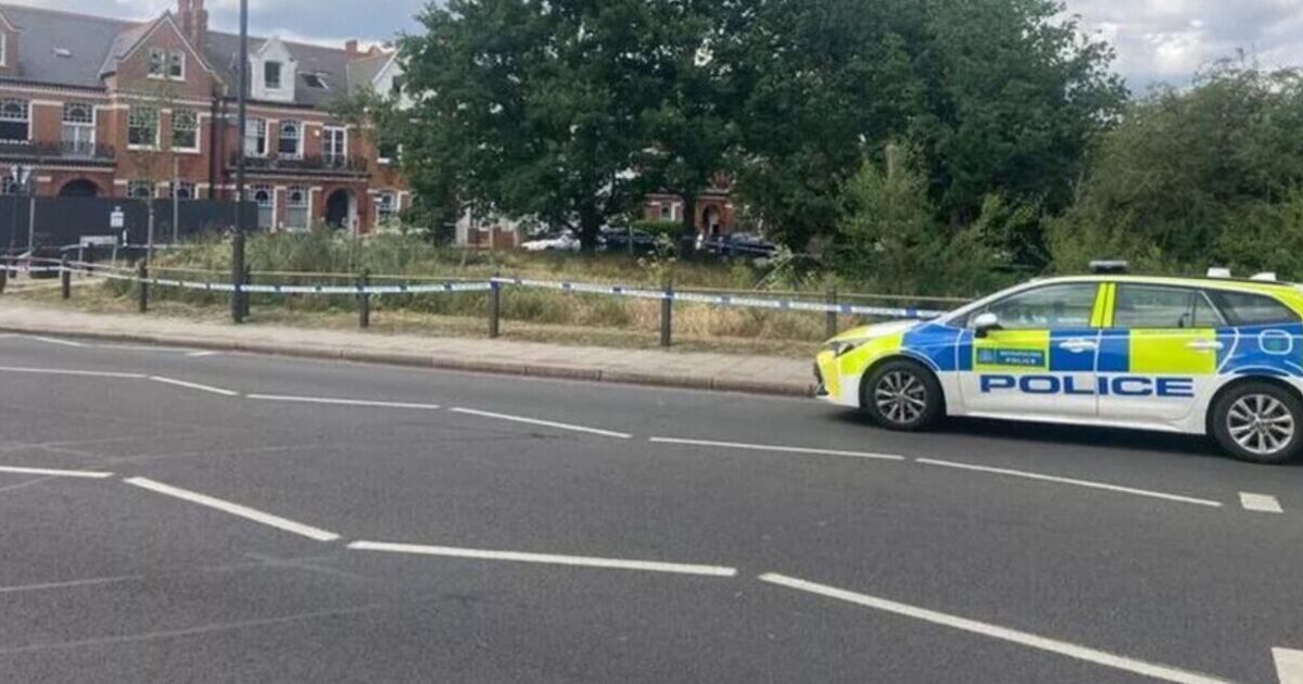 Woman raped in London park as man, 33, arrested | UK | News