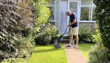 People in England urged not to cut their grass this week