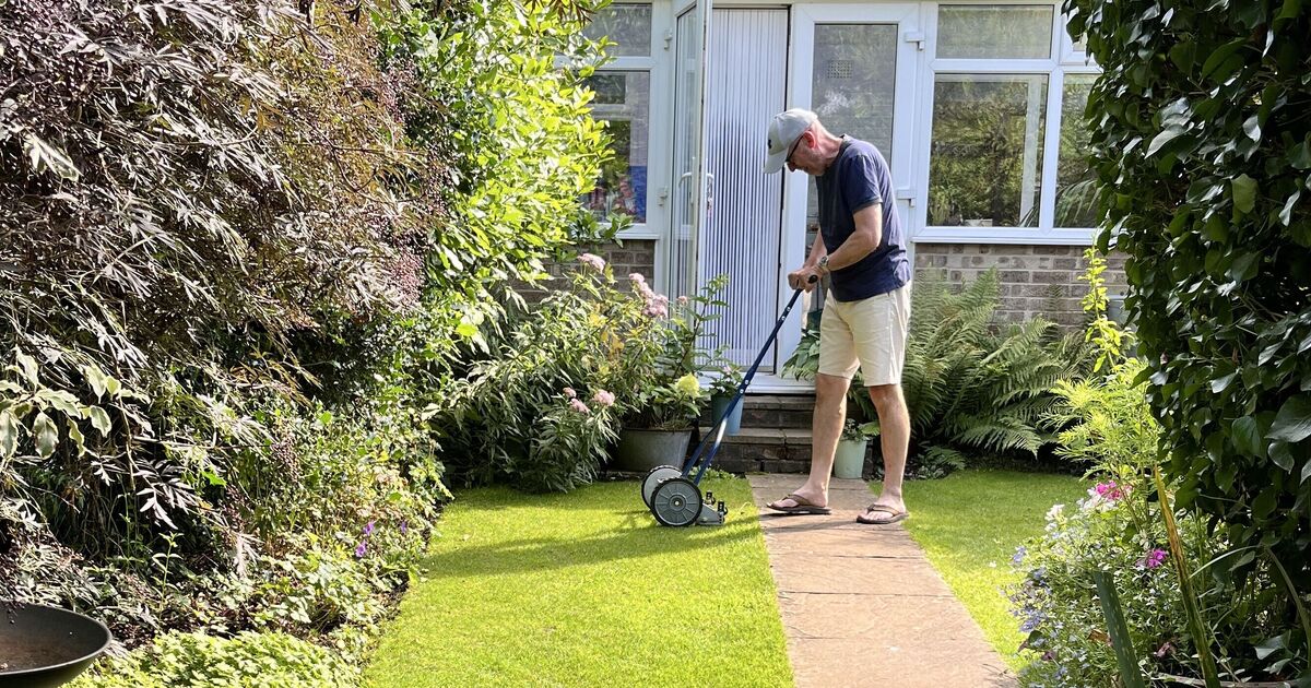 People in England urged not to cut their grass this week