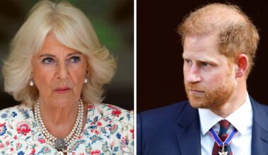 Queen Camilla's surprising response to Prince Harry feud revealed by Palace insider | Royal | News