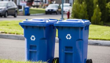 London Labour council slaps £1,000 fine on resident for 'putting bins out too early' | UK | News
