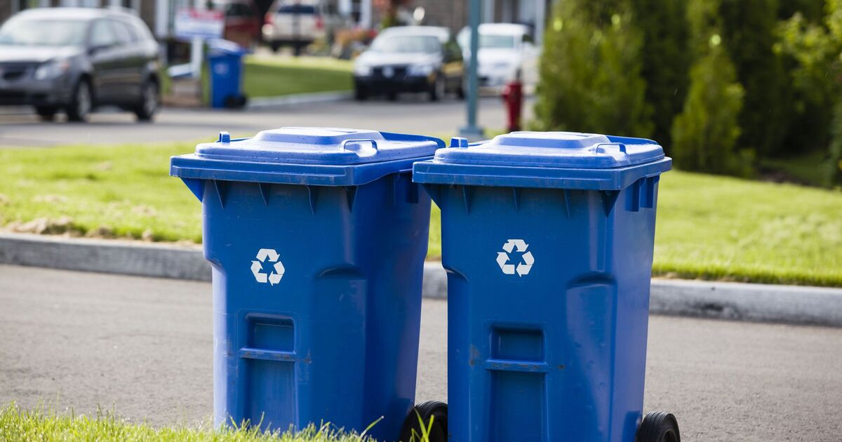 London Labour council slaps £1,000 fine on resident for 'putting bins out too early' | UK | News