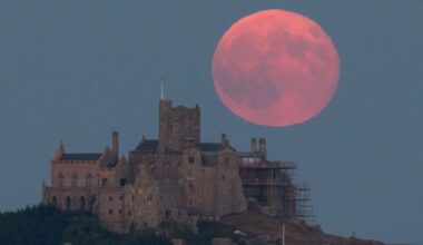 Strawberry Moon: Exact time phenomenon will appear in the UK | UK | News