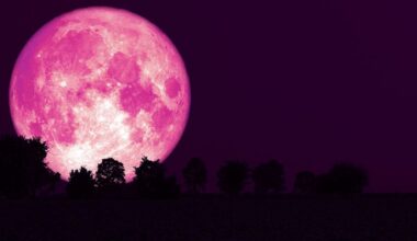 June's 'rare' Strawberry Moon won't happen again until 2043 | Weather | News