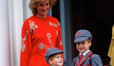 The 'real reason' Prince Harry and Prince William went to McDonald's as children | Royal | News