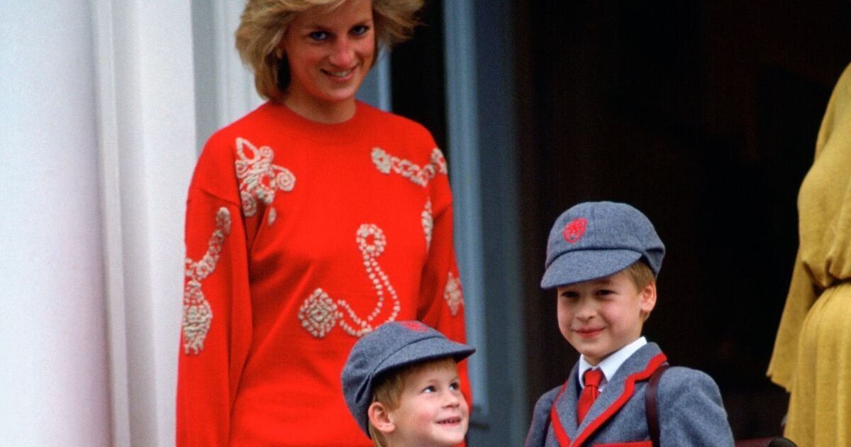 The 'real reason' Prince Harry and Prince William went to McDonald's as children | Royal | News
