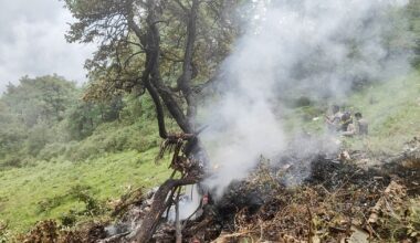 Horror as toddler among 7 killed in India helicopter crash | World | News
