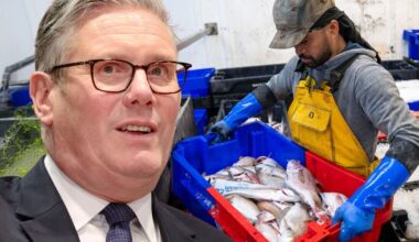 Furious fishermen savage Keir Starmer's ultimate Brexit betrayal | UK | News