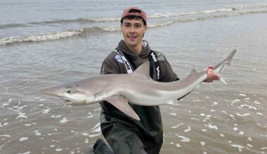 Endangered shark caught in British waters by stunned fisherman | UK | News