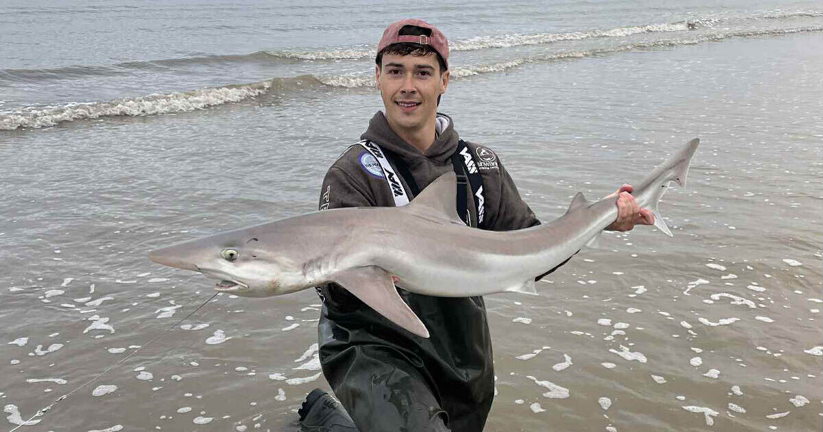 Endangered shark caught in British waters by stunned fisherman | UK | News