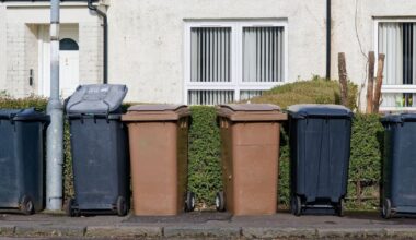 'I keep finding rubbish in my bin dumped by strangers' | UK | News