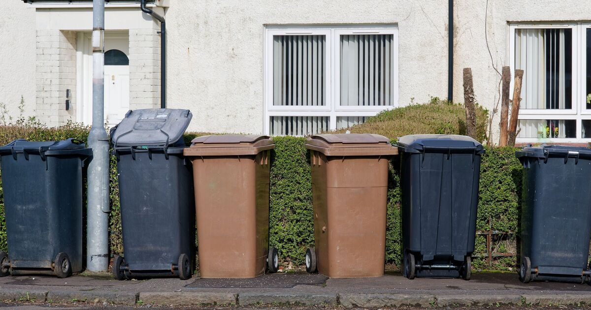 'I keep finding rubbish in my bin dumped by strangers' | UK | News