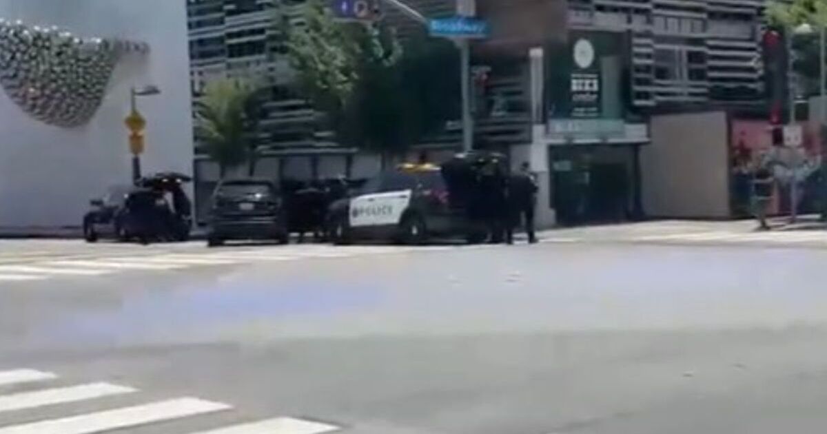 Santa Monica shooting LIVE: Police hunting 'active shooter' as gunman fires at officers | World | News