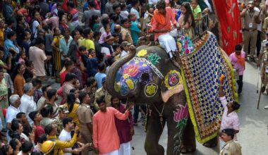 Chaos in India as elephants rampage through streets trampling on local | World | News