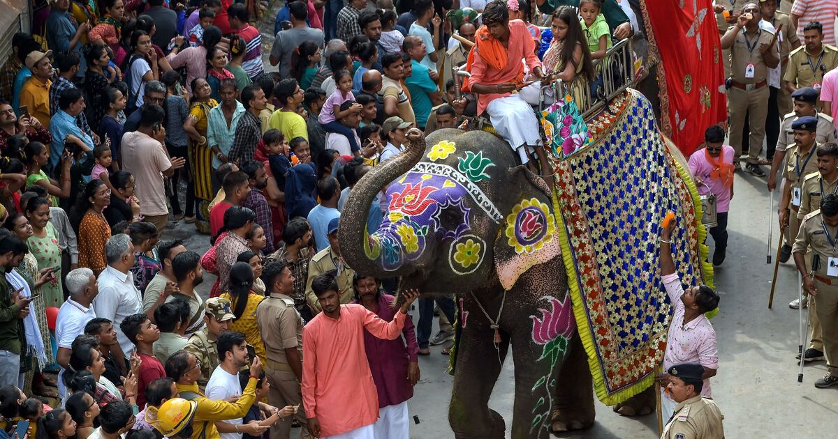 Chaos in India as elephants rampage through streets trampling on local | World | News