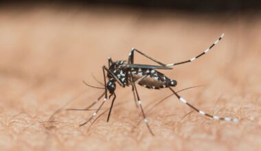 Panic in Spain after bugs carrying deadly virus in region Brits love | Travel News | Travel