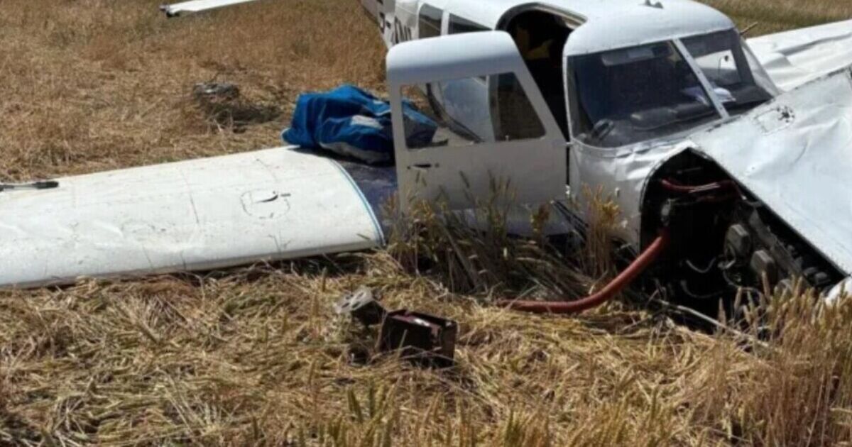Stebbing plane crash: Emergency services rush to field as jet smashes to ground | UK | News