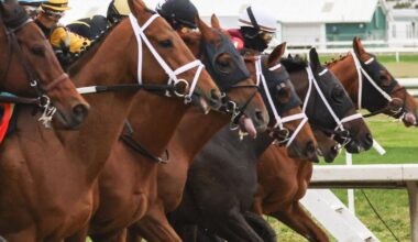 NOLA Fair Grounds horse racing season to proceed as normal | Business News