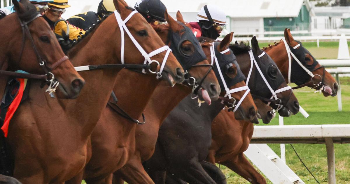 NOLA Fair Grounds horse racing season to proceed as normal | Business News