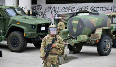 Members of the National Guard were deployed to Los Angeles -- against the wishes of California Governor Gavin Newsom (Frederic J. Brown)
