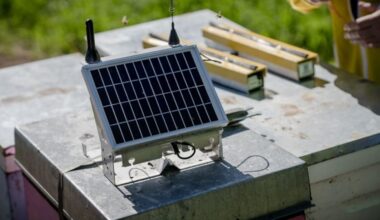 One NZ expands Starlink partnership to Internet of Things