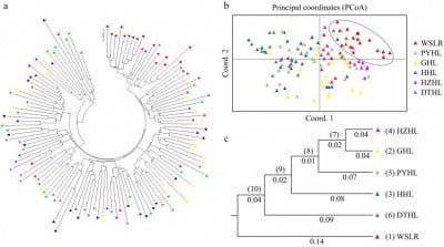 Mapping the Genetic Landscape of Yellow Catfish for Sustainable Aquaculture