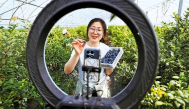 Livestreaming playing vital role in expanding employment