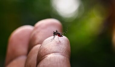 First Domestic Case and How to Protect Yourself