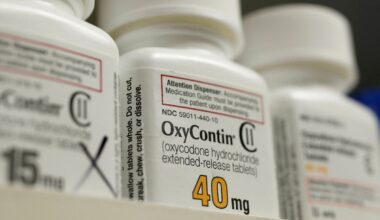 Purdue Pharma wins broad support from U.S. states for $7.4-billion opioid settlement