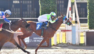 Neon Boy Wires the Field with Authority in the Dirt Junior