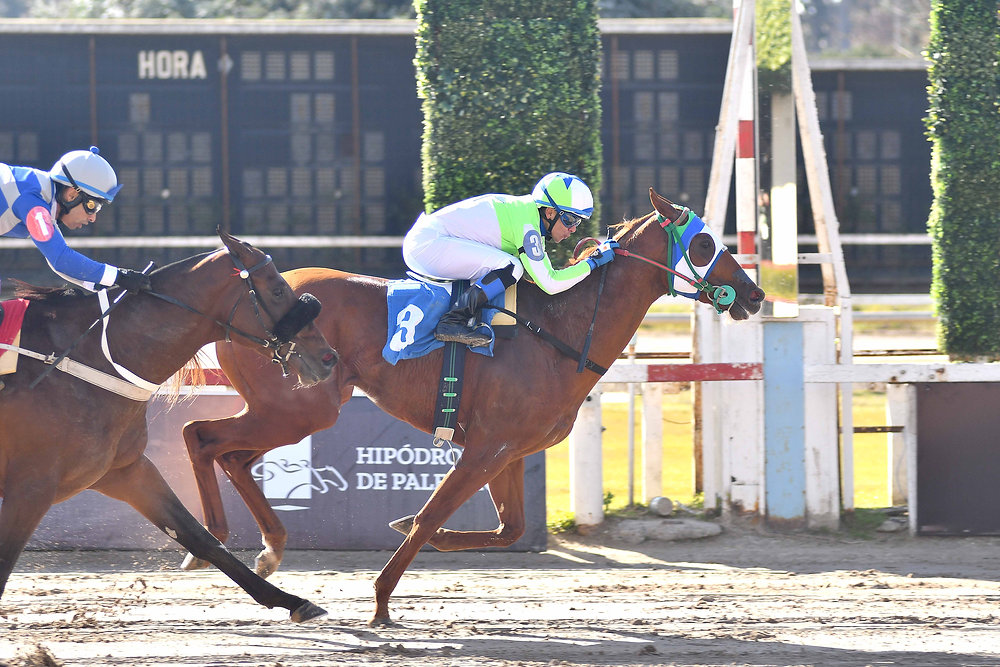 Neon Boy Wires the Field with Authority in the Dirt Junior