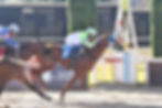 Neon Boy Stays Resolute on the Front End / HAPSA