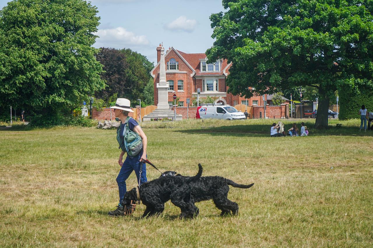 London, UK. 31  May 2025.  A woman walking  her dogs on Wimbledon Common, south west London as temperatures are forecast to reach 26Celsius today . The Met Office has predicted  a mini heatwave to hit London and South East England in June.  Credit Amer Ghazzal/Alamy Live News
