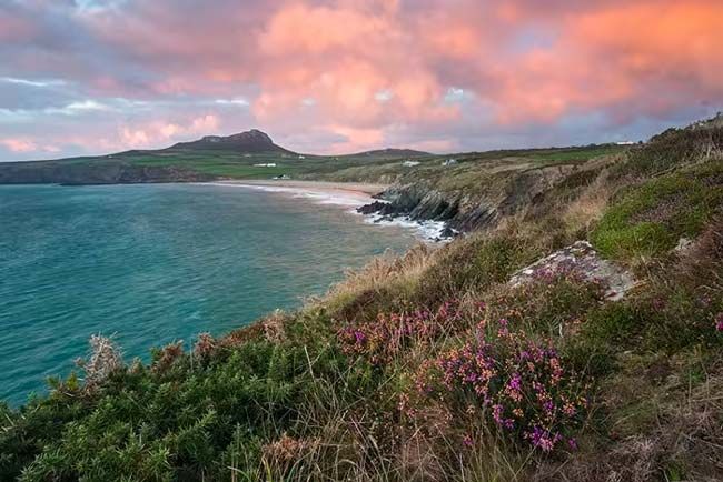 whitesands bay beach