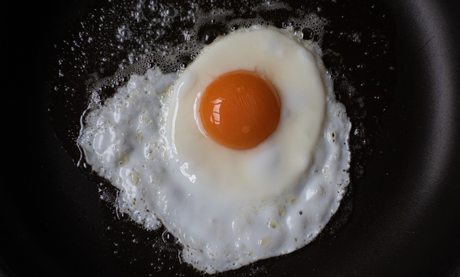 Ellie Cox: A Greasy Spoon’s tale - the struggles of London’s family-run cafes