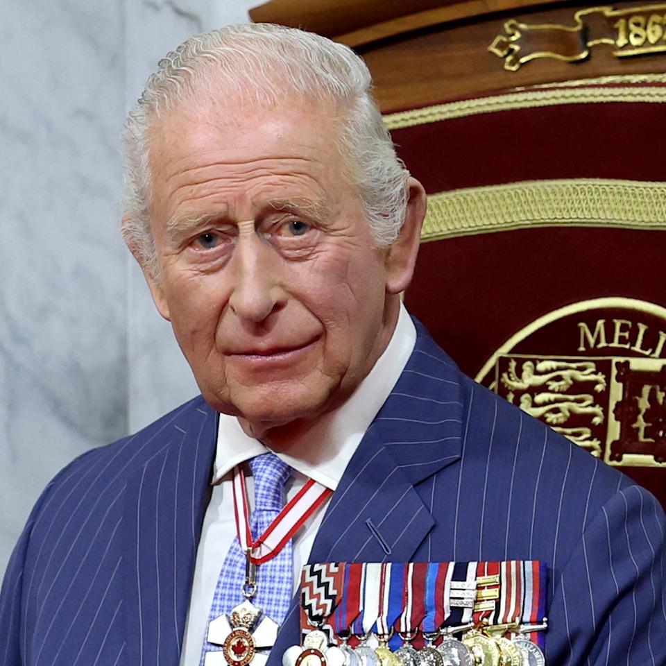  King Charles wearing a blue striped suit and medals. 