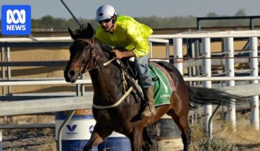 'Phar Lap of the Barkly' Rafferty Rules wins historic sixth Gold Cup at Brunette Downs