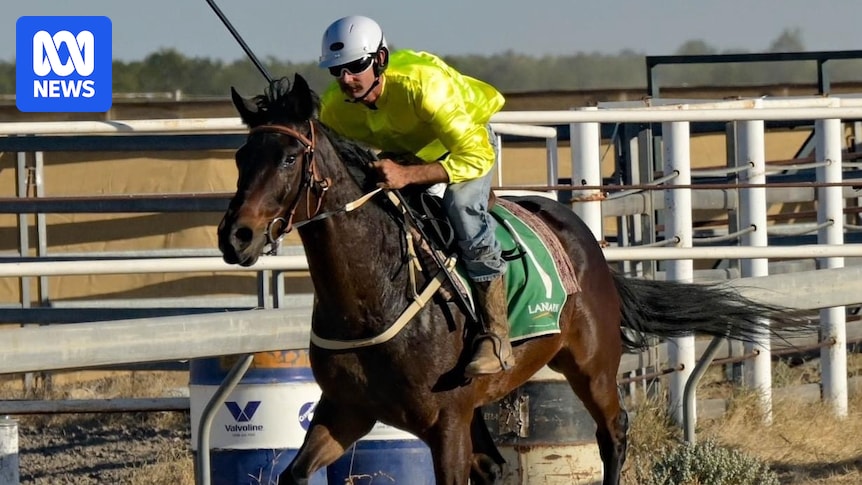 'Phar Lap of the Barkly' Rafferty Rules wins historic sixth Gold Cup at Brunette Downs