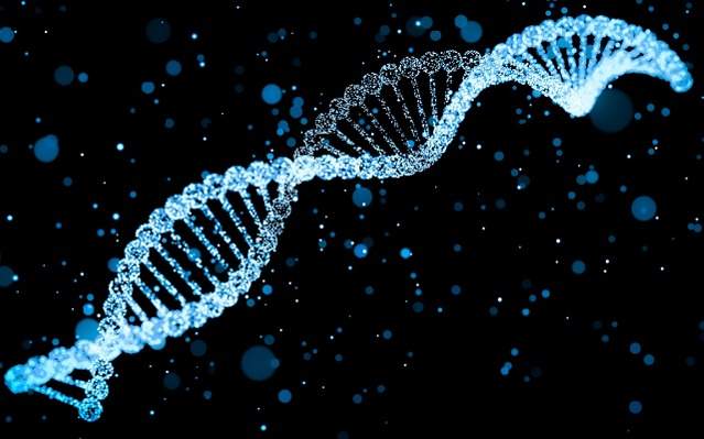 DNA