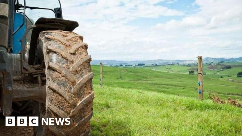 Family farms in 'turmoil' over changes says NFU