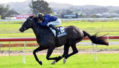 Horse racing: Emotional Ruakākā win for Beetlegeuse in Jimmy Schick’s memory