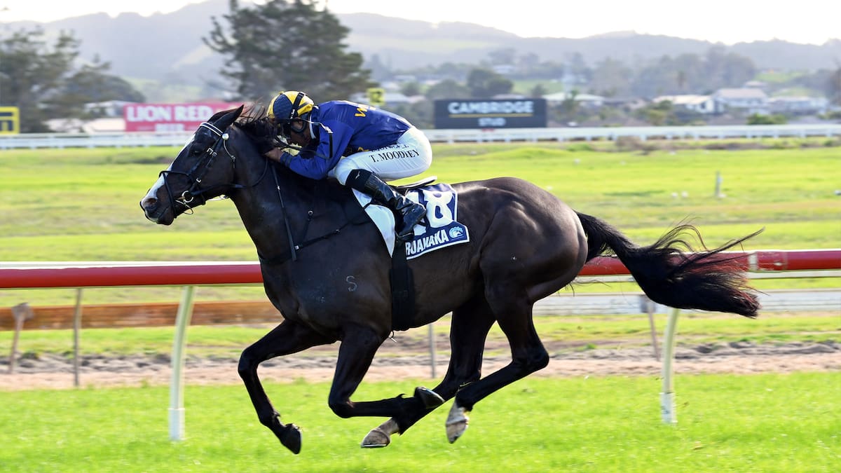 Horse racing: Emotional Ruakākā win for Beetlegeuse in Jimmy Schick’s memory