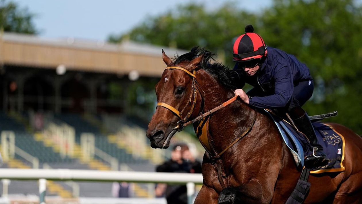 skybet