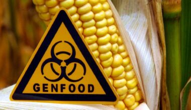 Agriculture: Parliament wants to extend genetic engineering moratorium by five years