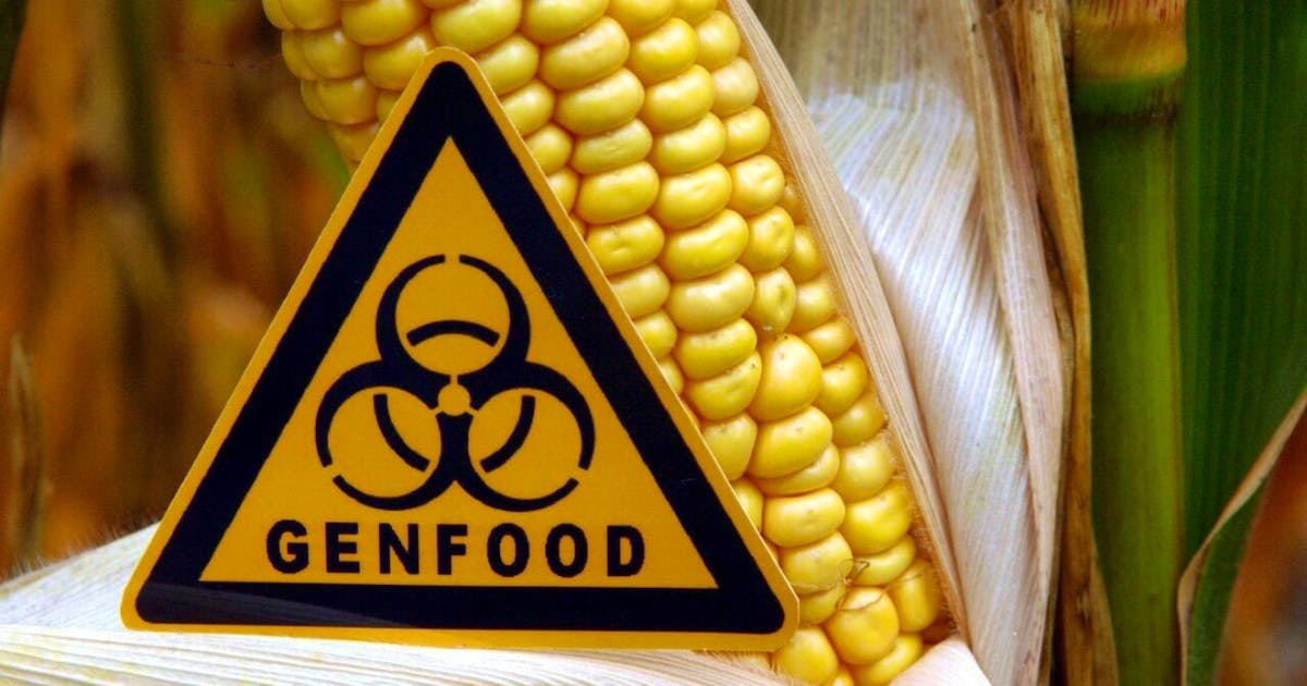Agriculture: Parliament wants to extend genetic engineering moratorium by five years