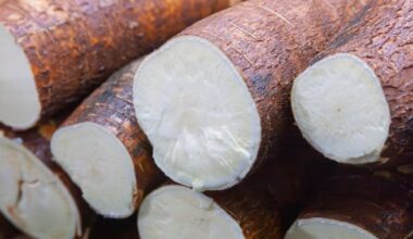 What is cassava? And is it good for you?