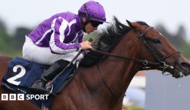 Delacroix winning at Leopardstown