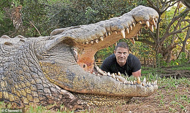 Wildlife daredevil Steve Backshall (pictured), posing with a crocodile called Henry at Crocworld Conservation Centre in KwaZulu-Natal, South Africa. Aged 124, Henry is the oldest living crocodile in the world
